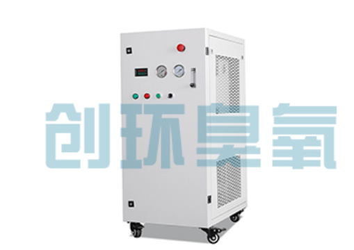 定西石斑鱼养殖水质调控完整指南：臭氧发生器配置与操作步骤