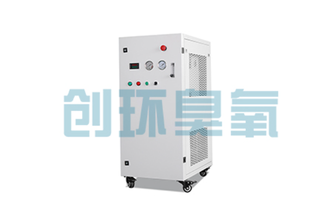 定西比传统换水更高效？臭氧发生器在石斑鱼养殖中的水质净化原理解析